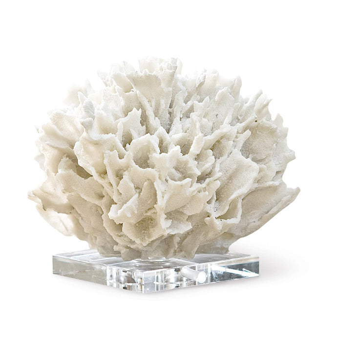 Ribbon Coral (White)