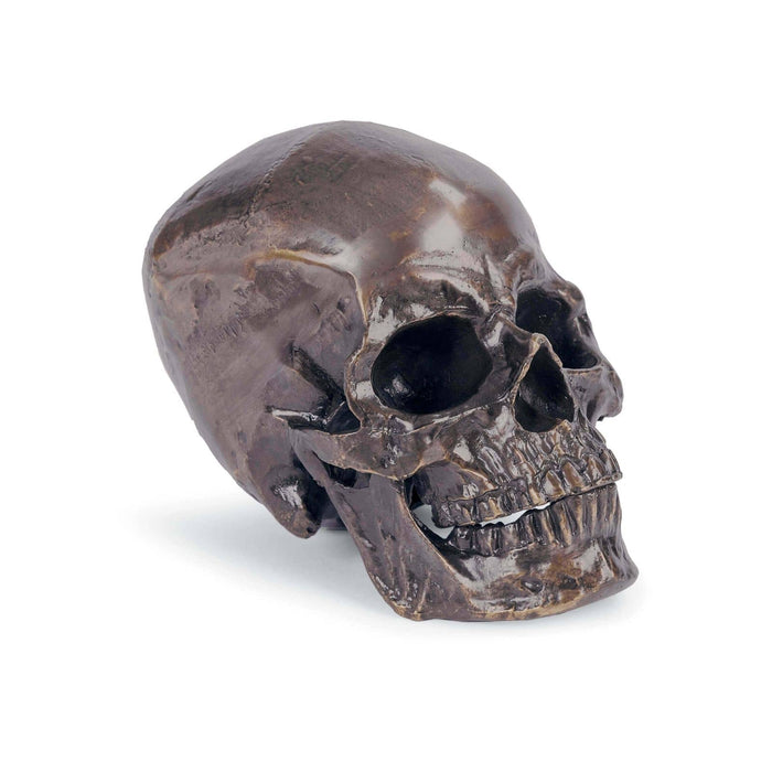 Metal Skull (Antique Bronze)
